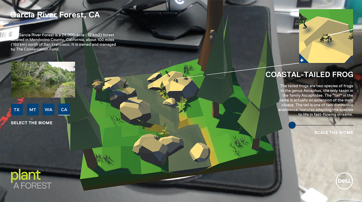 Dell Plant-A-Forest AR thumbnail